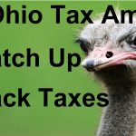 ohio back taxes expert